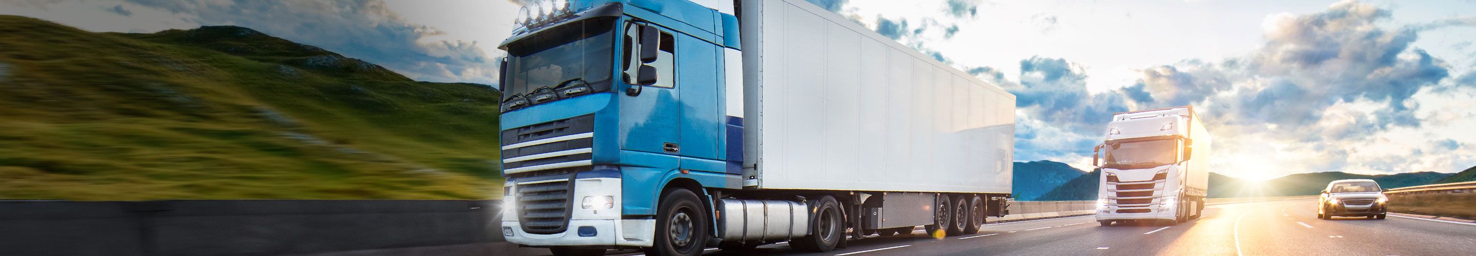 Camion e veicoli